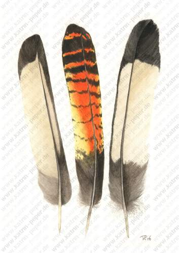 Drei Kakadufedern
